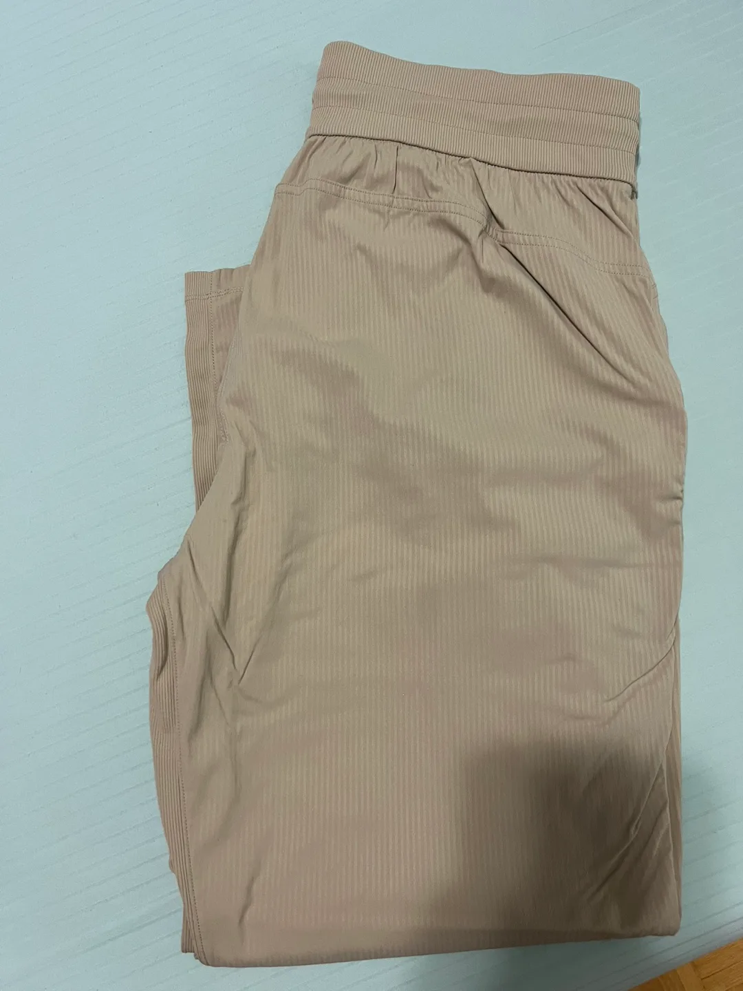 Lululemon Jogger Pants image indicator(2)
