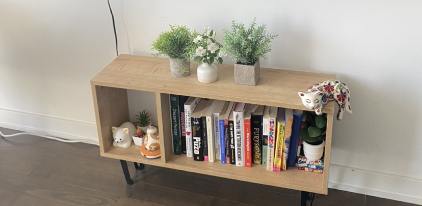 TV console/bookshelf