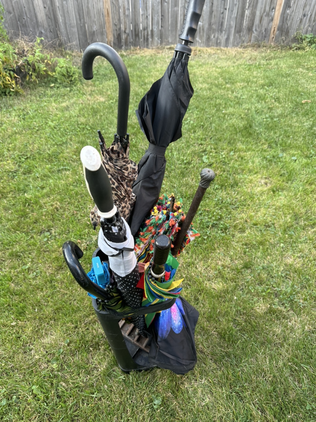Umbrella Stand with Multiple Umbrellas
