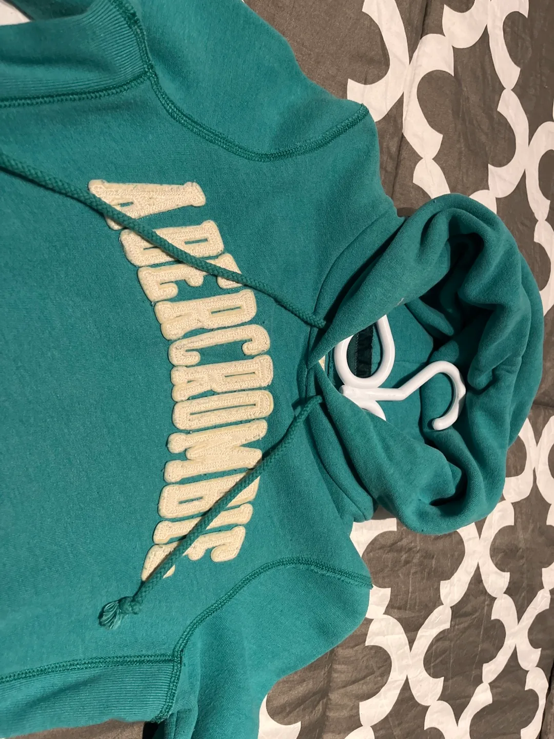 Abercrombie & Fitch Teal Hoodie image indicator(2)