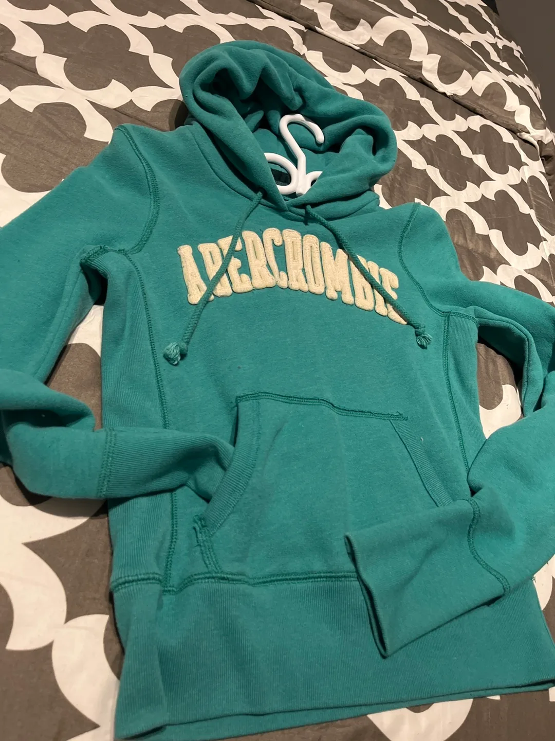 Abercrombie & Fitch Teal Hoodie image indicator(3)
