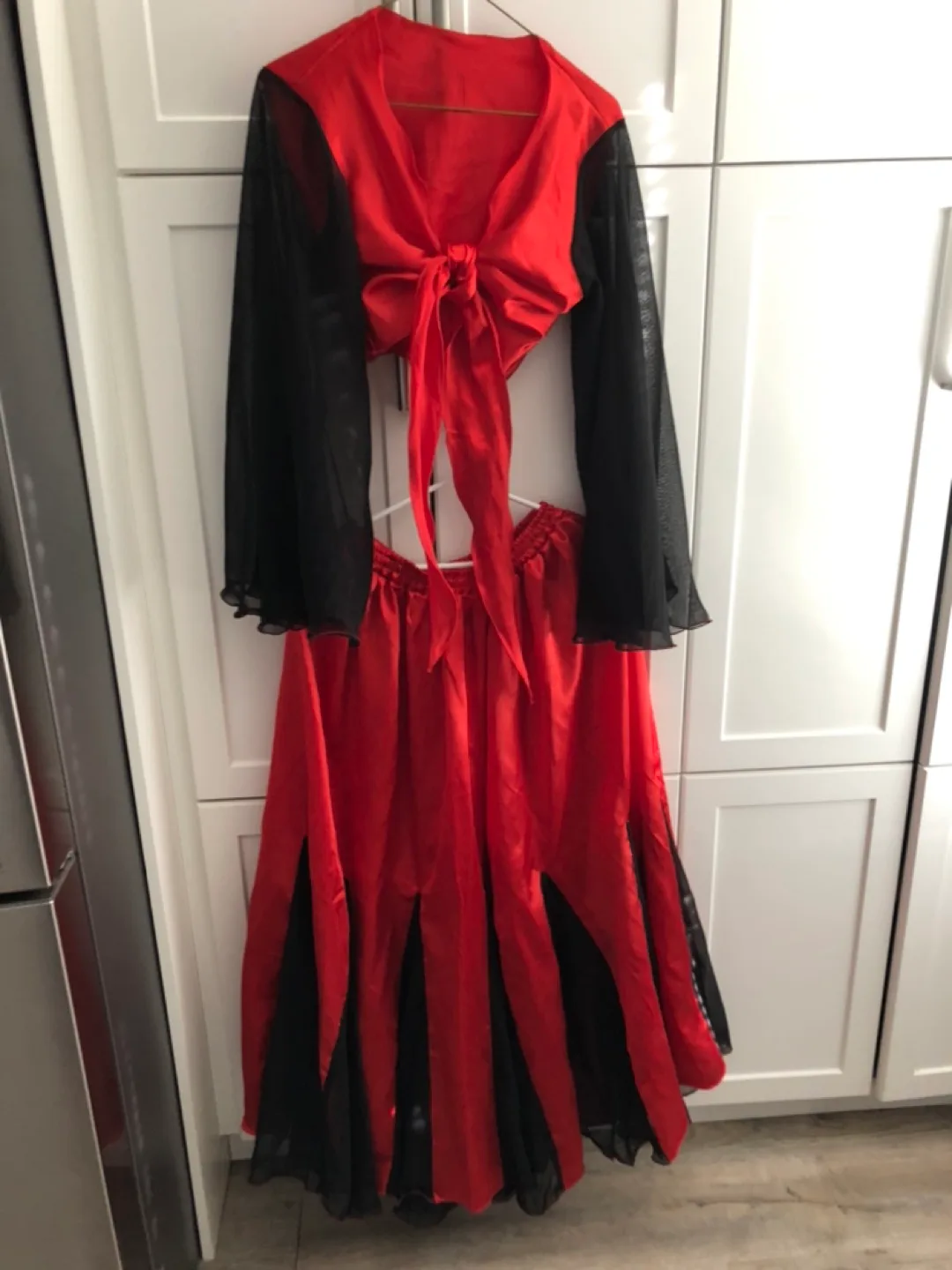 Red and Black Belly Dance Halloween Costume image indicator(2)