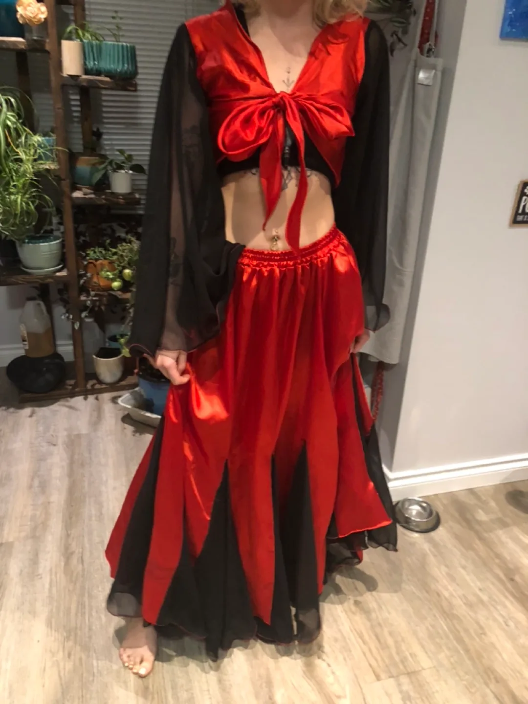 Red and Black Belly Dance Halloween Costume image indicator(5)