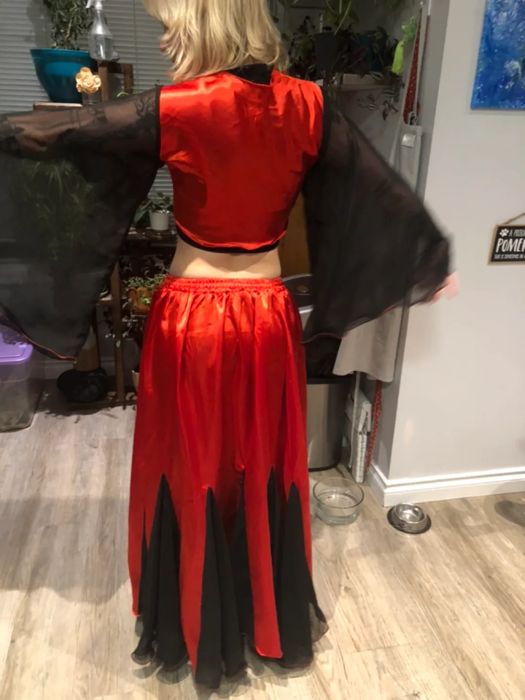 Red and Black Belly Dance Halloween Costume image indicator(4)