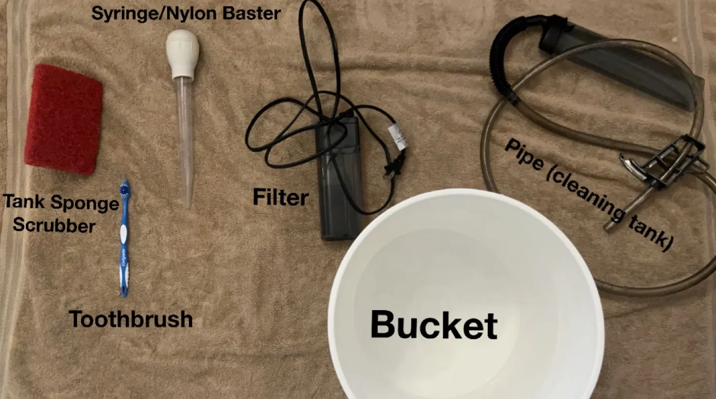 Turtle Tank Set Up - Cash Only image indicator(3)