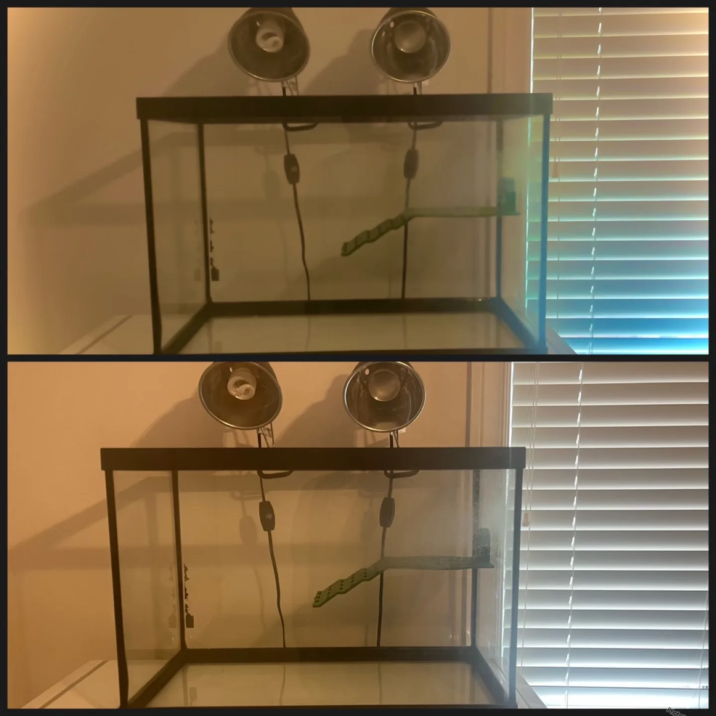 Turtle Tank Set Up - Cash Only image indicator(2)