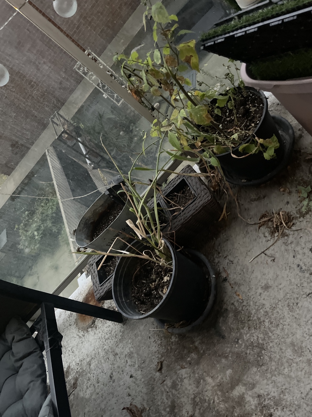 4 Planters - photo 2