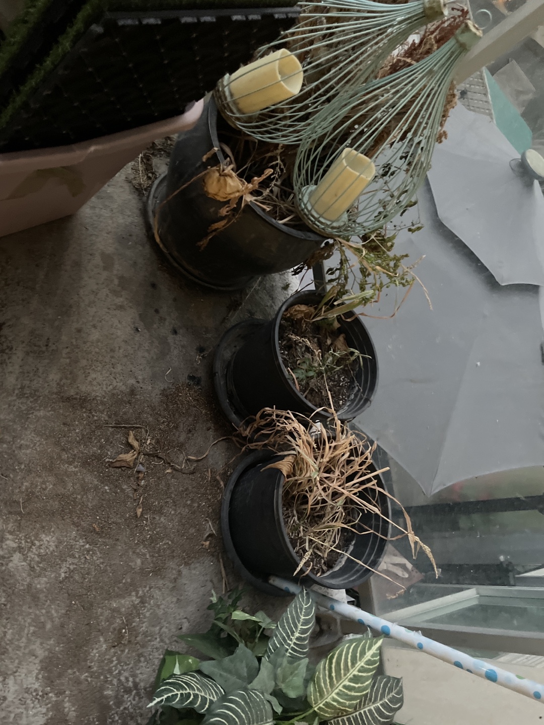 4 Planters