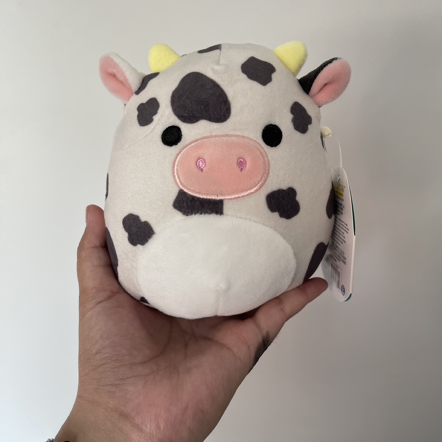 5” Colin Squishmallow