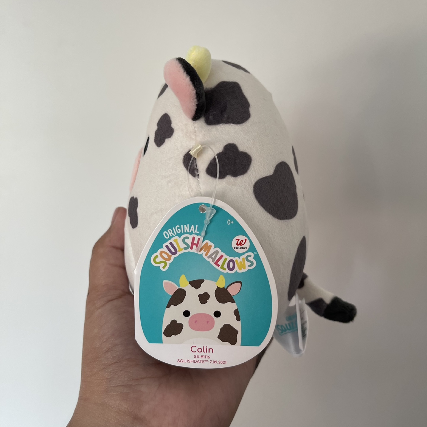 5” Colin Squishmallow - photo 3