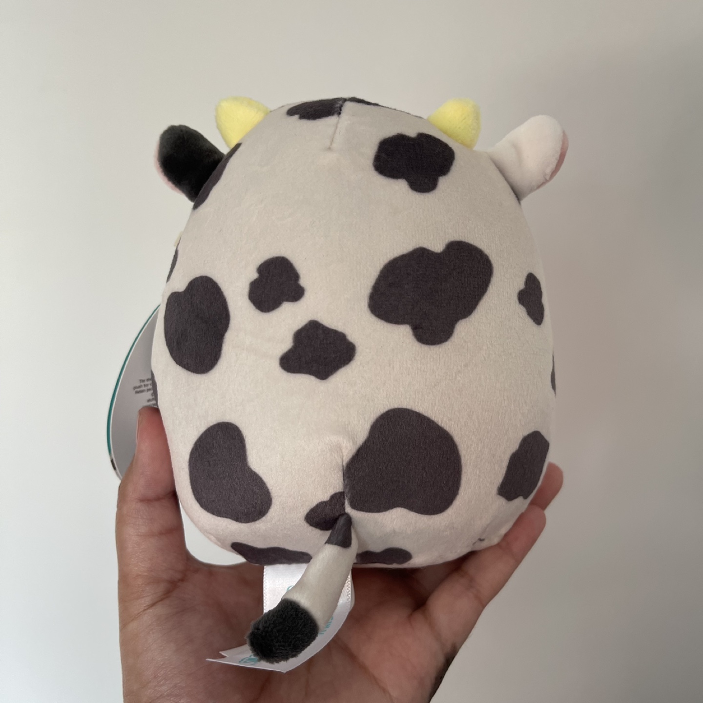 5” Colin Squishmallow - photo 2