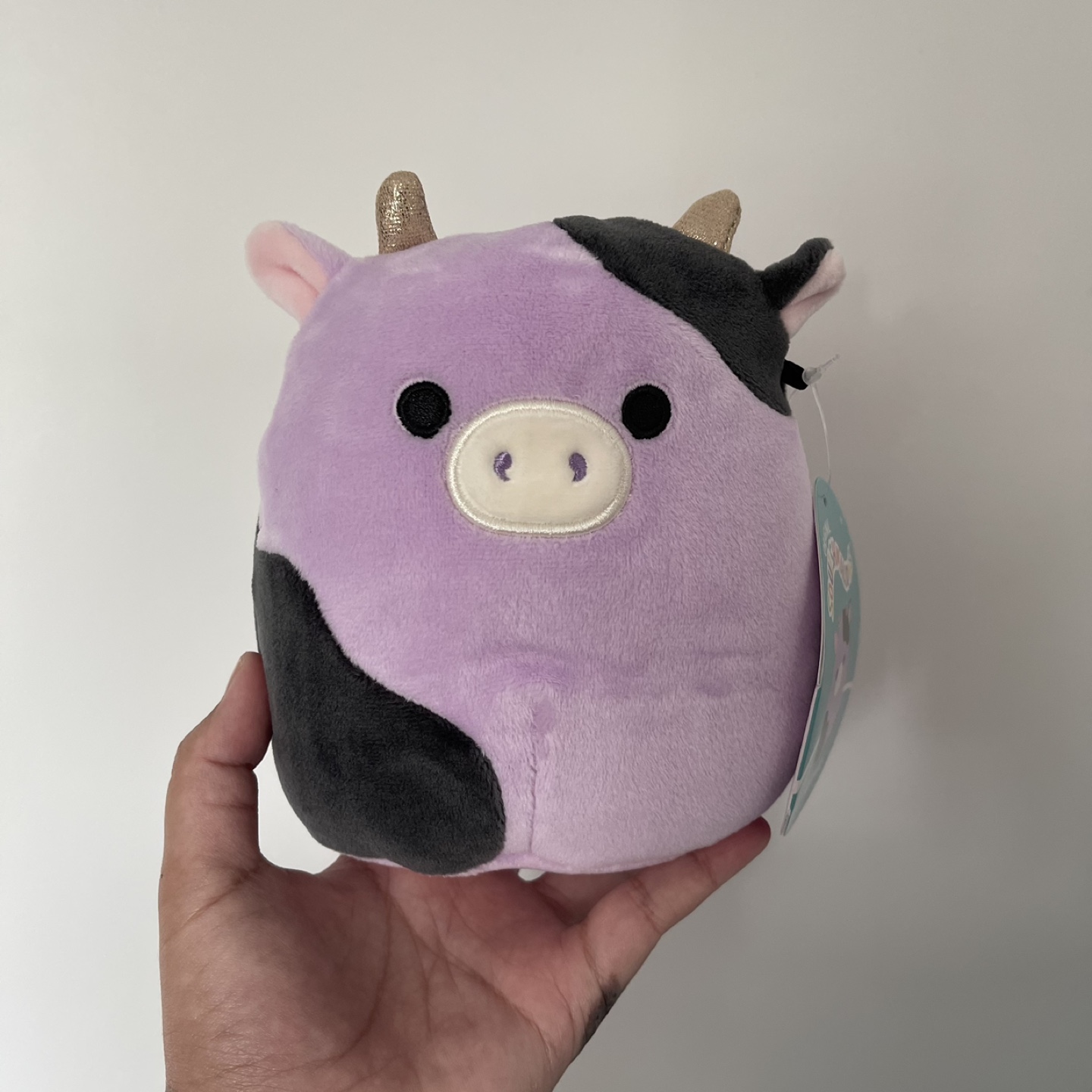 5” Alexie Squishmallow