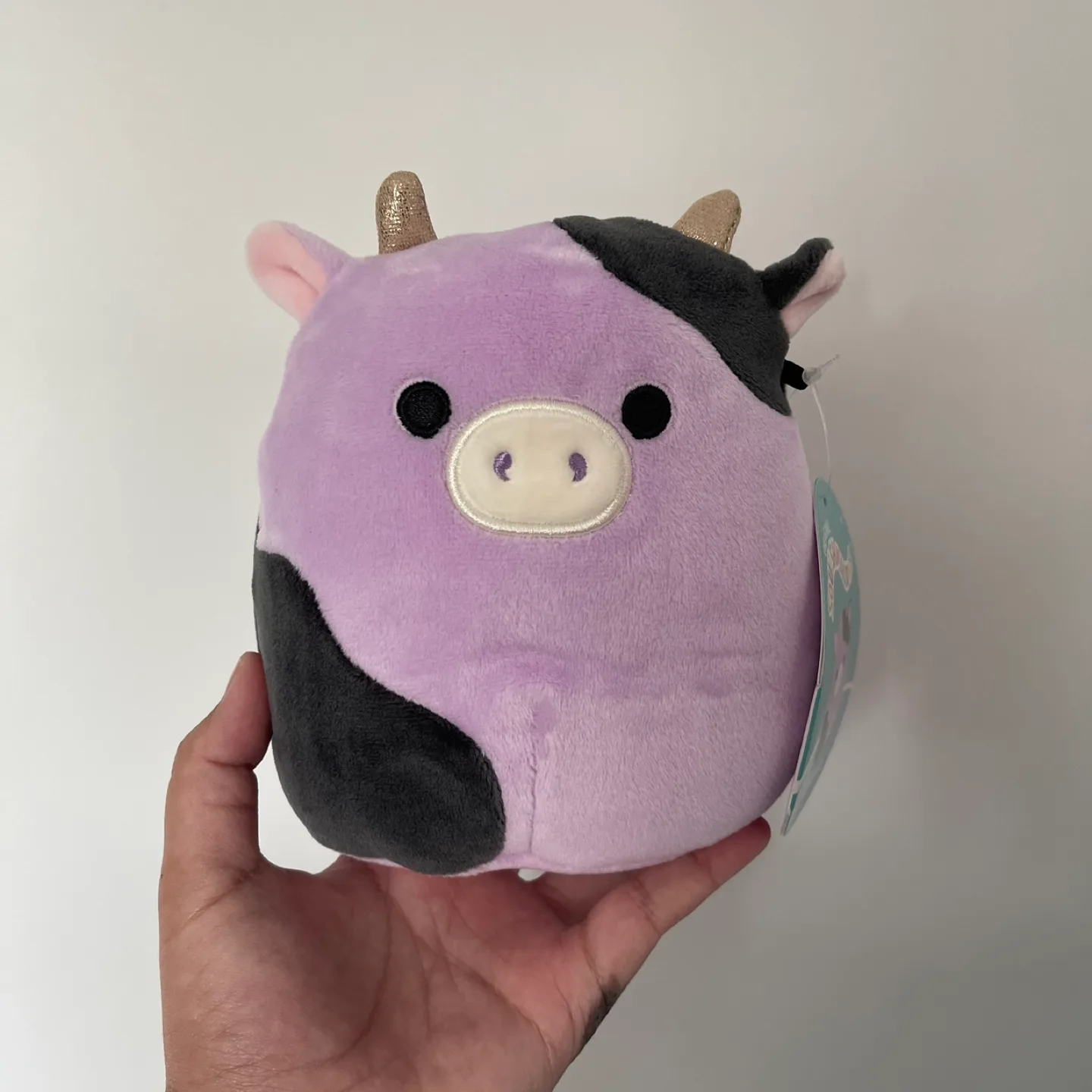 5” Alexie Squishmallow thumbnail