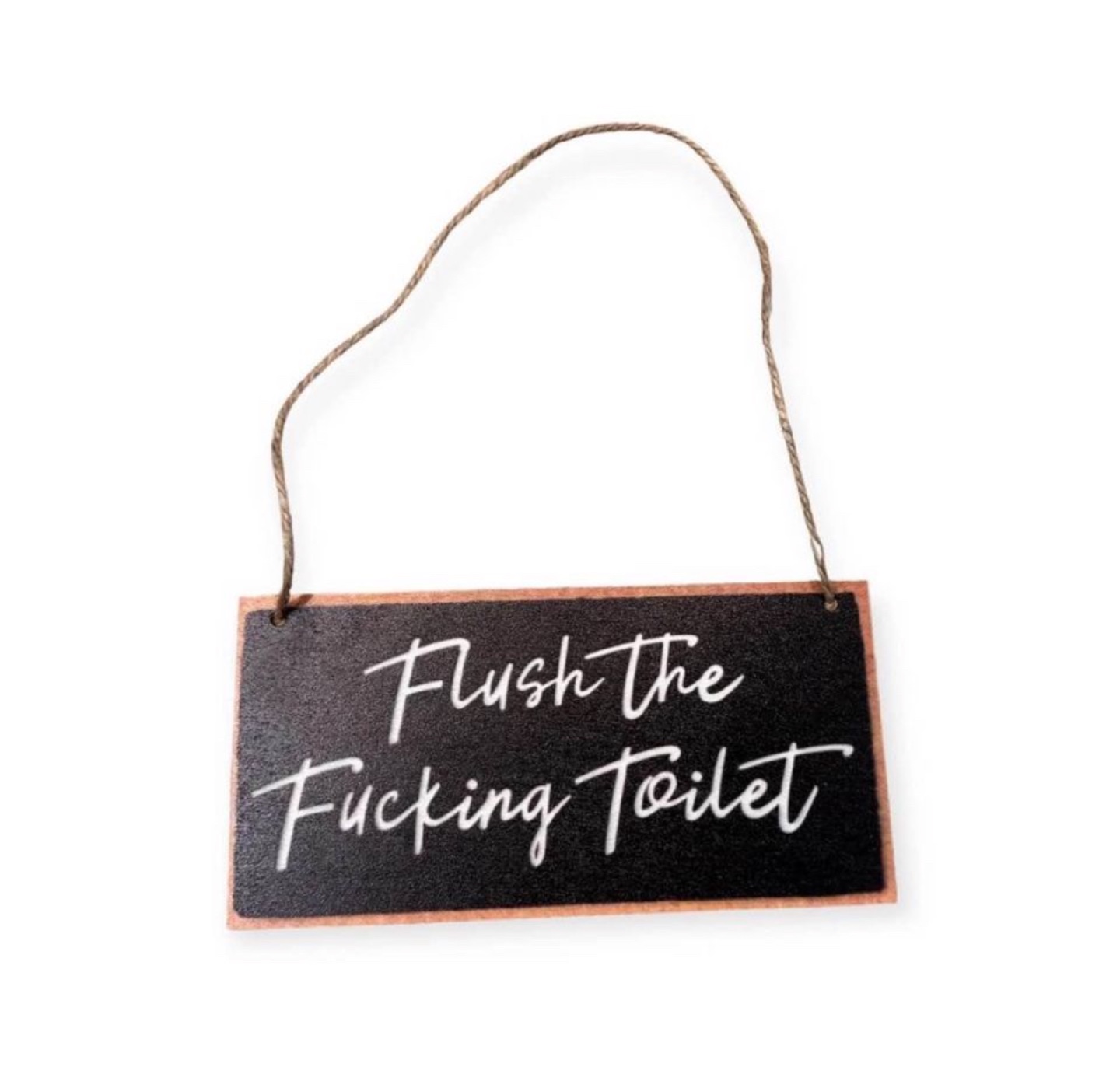 Flush the fuck!ng toilet