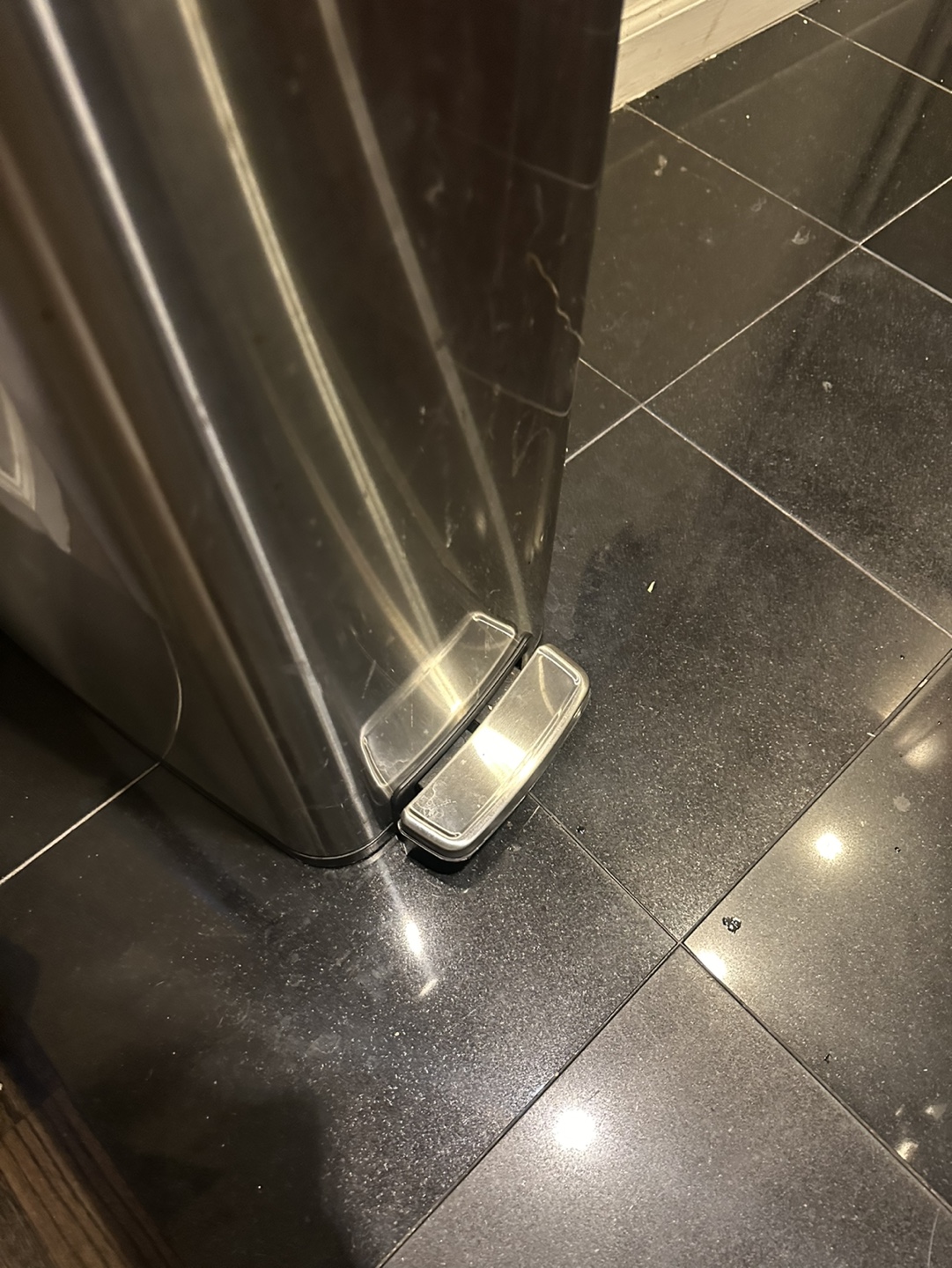 Stainless Steel Step Trash Can - photo 2
