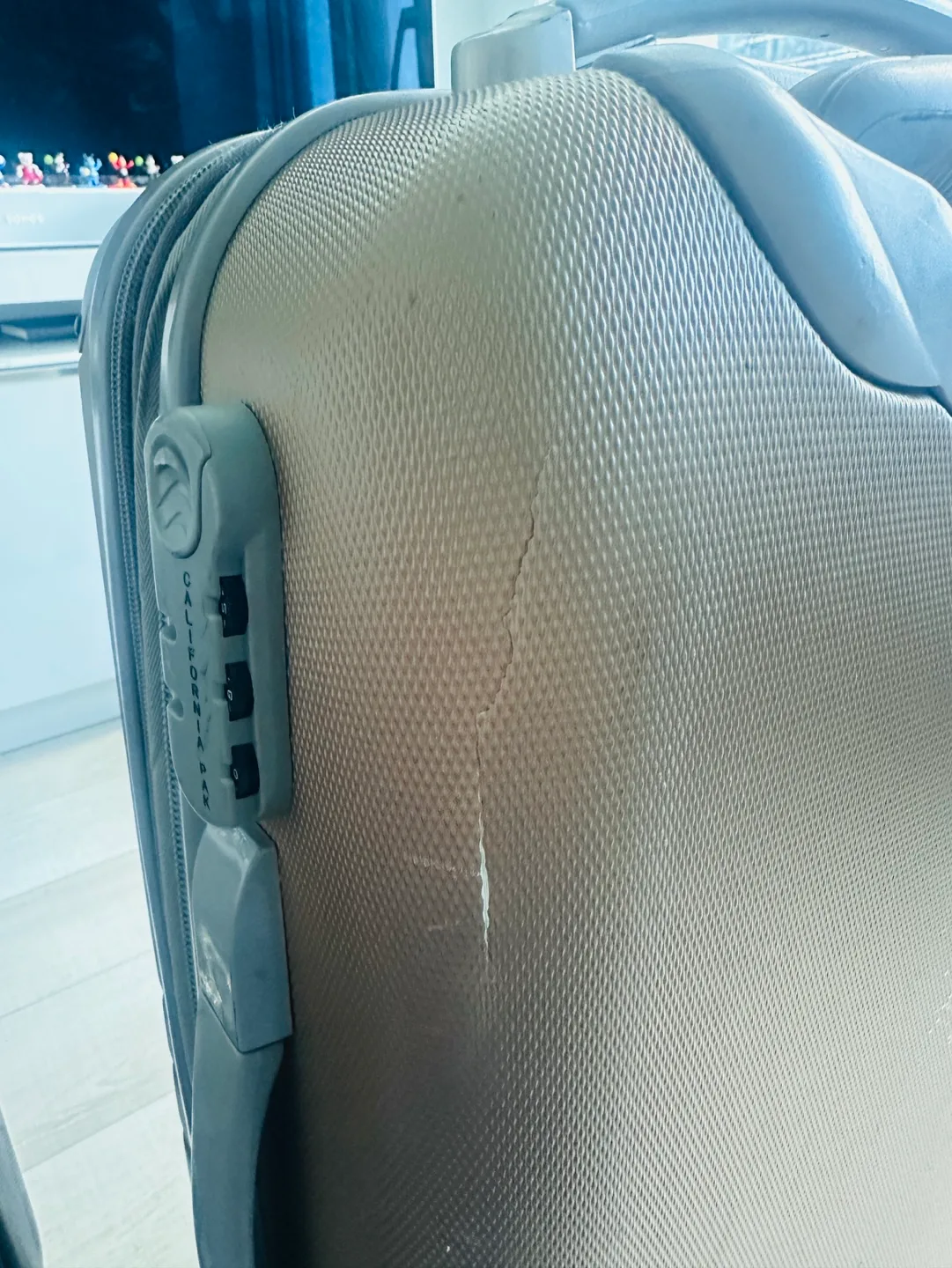 Luggage (Large checked Luggage & 3 carry on) image indicator(6)