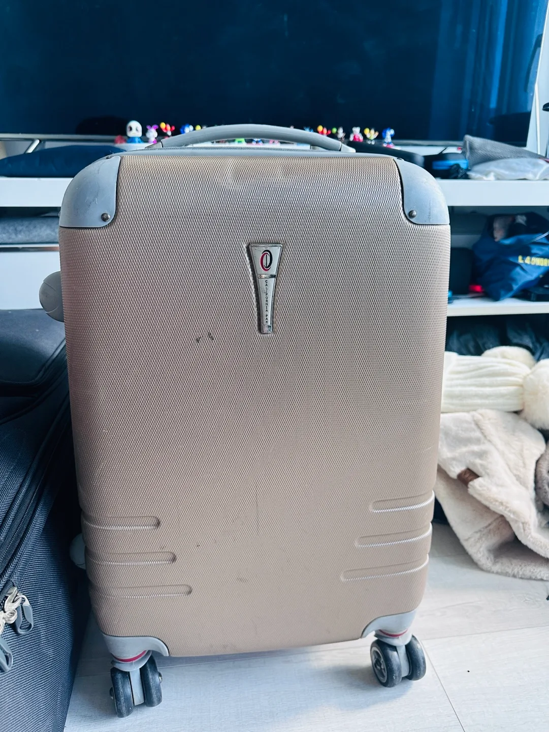 Luggage (Large checked Luggage & 3 carry on) image indicator(5)