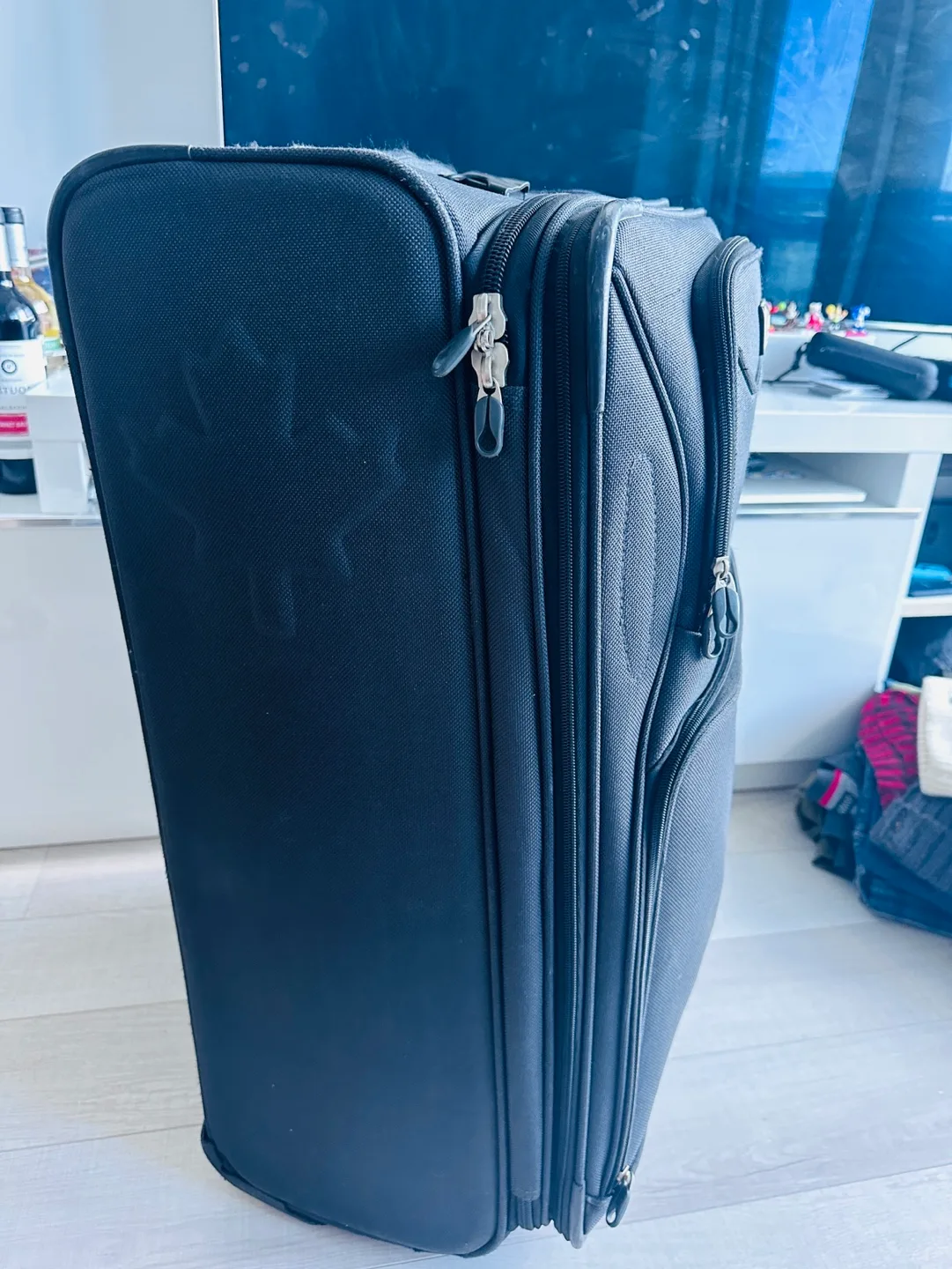 Luggage (Large checked Luggage & 3 carry on) image indicator(2)