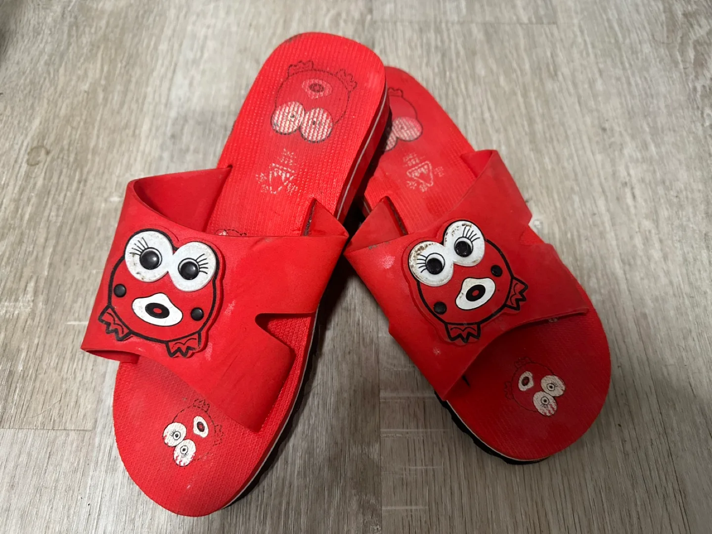Red  Slippers #freecycle thumbnail