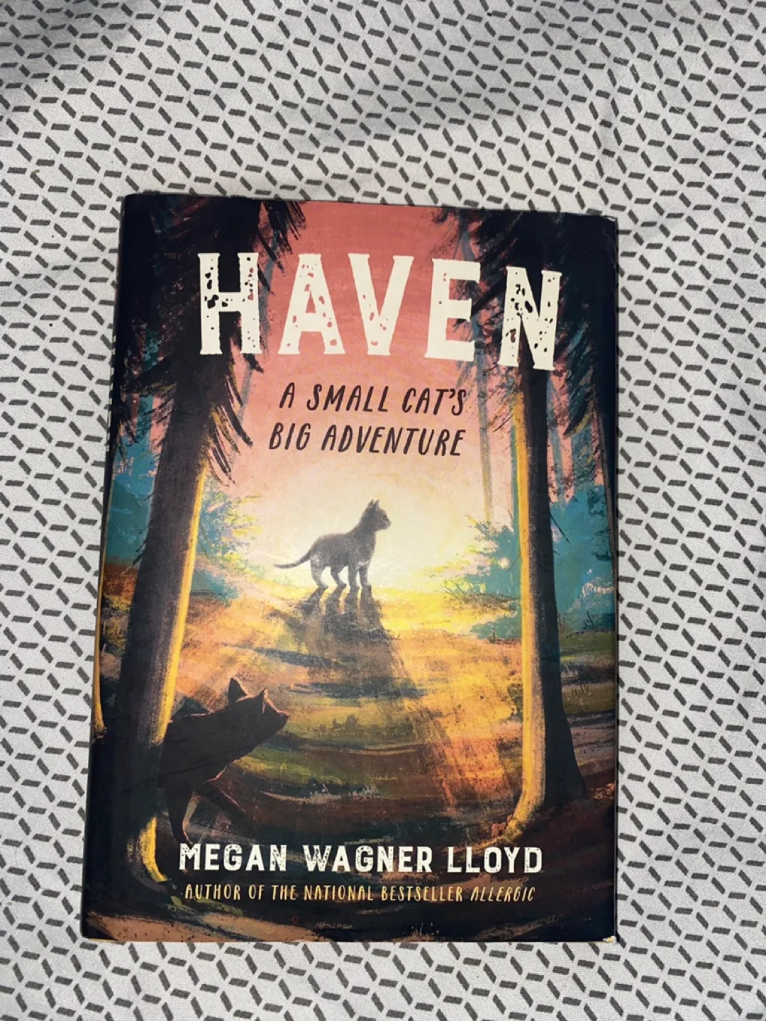 Haven: A Small Cat's Big Adventure book thumbnail