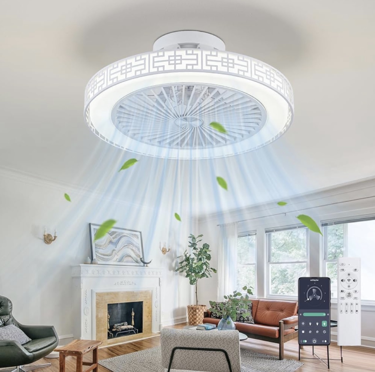 TFmanQ1 Ceiling Fan with Light