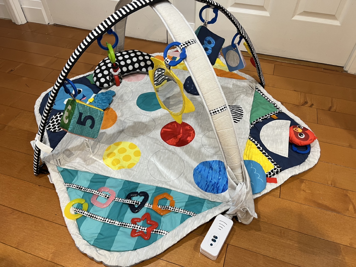 Baby Einstein Sensory Play Mat