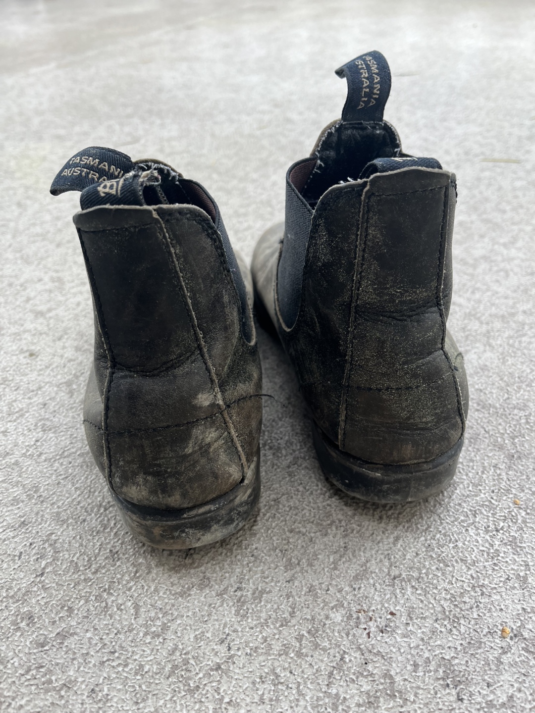 Blundstones - photo 3