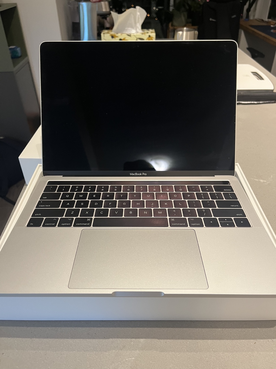 13-inch MacBook Pro A1706 (2017)