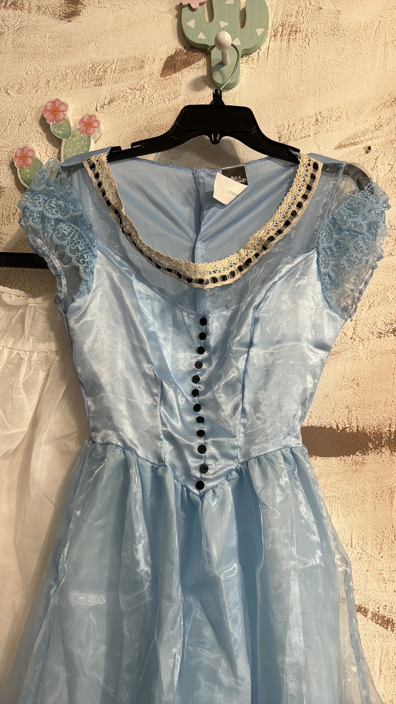 Alice in Wonderland Costume - photo 4