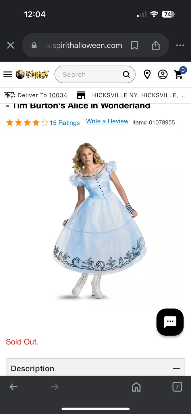 Alice in Wonderland Costume