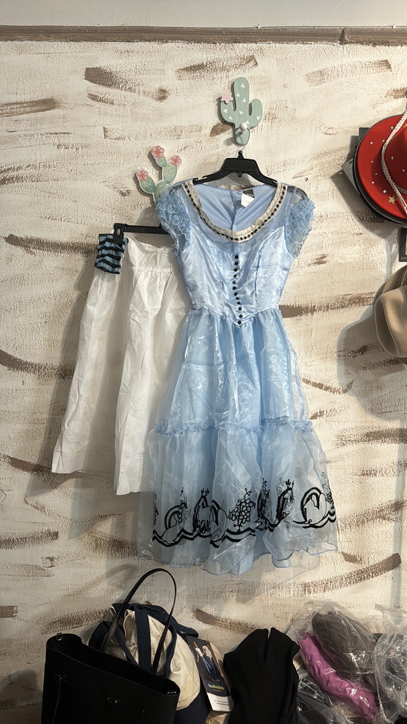 Alice in Wonderland Costume - photo 2