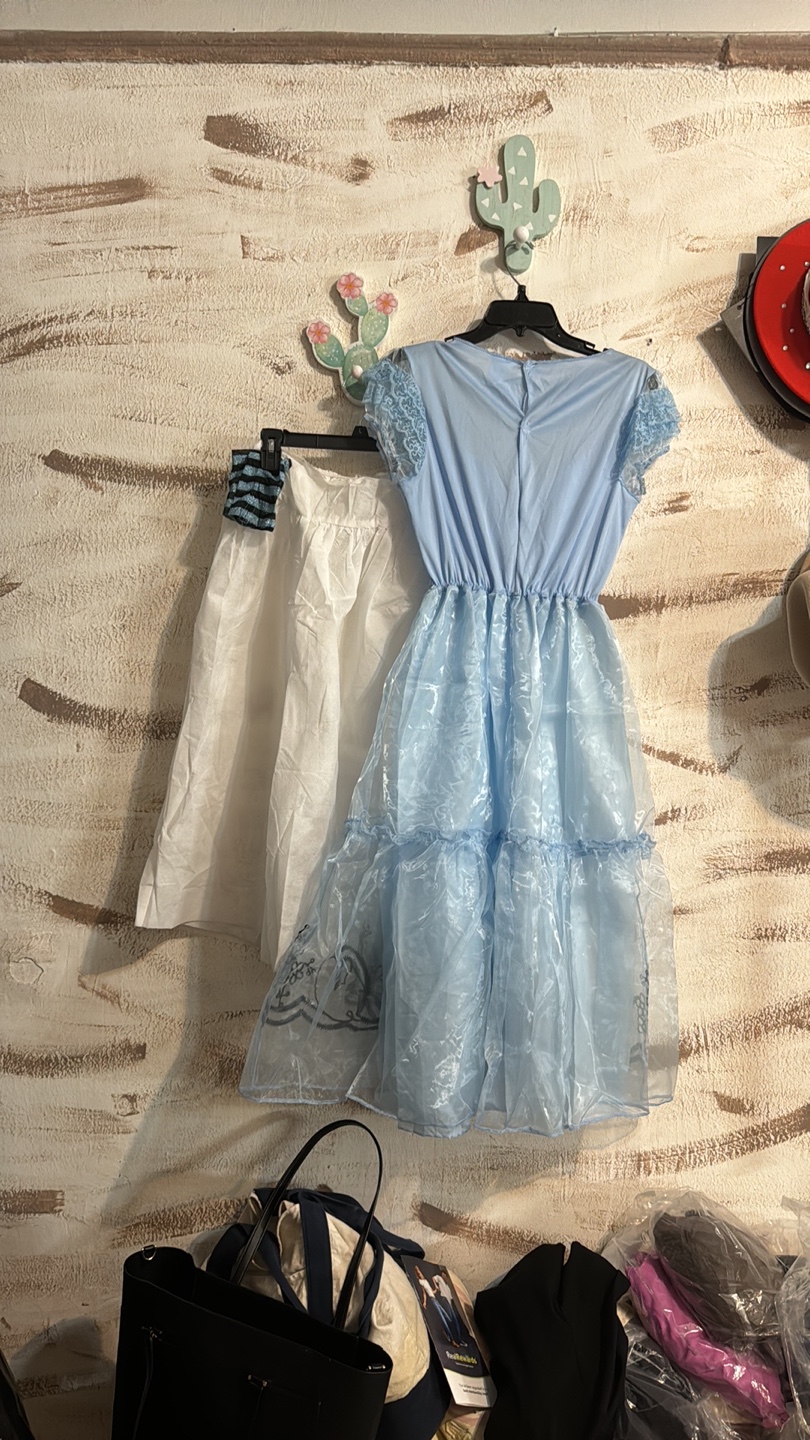 Alice in Wonderland Costume - photo 3