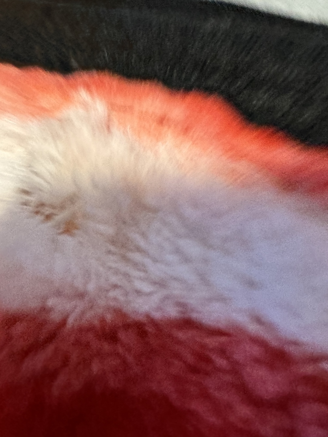 Large/Queen size Blanket - photo 3