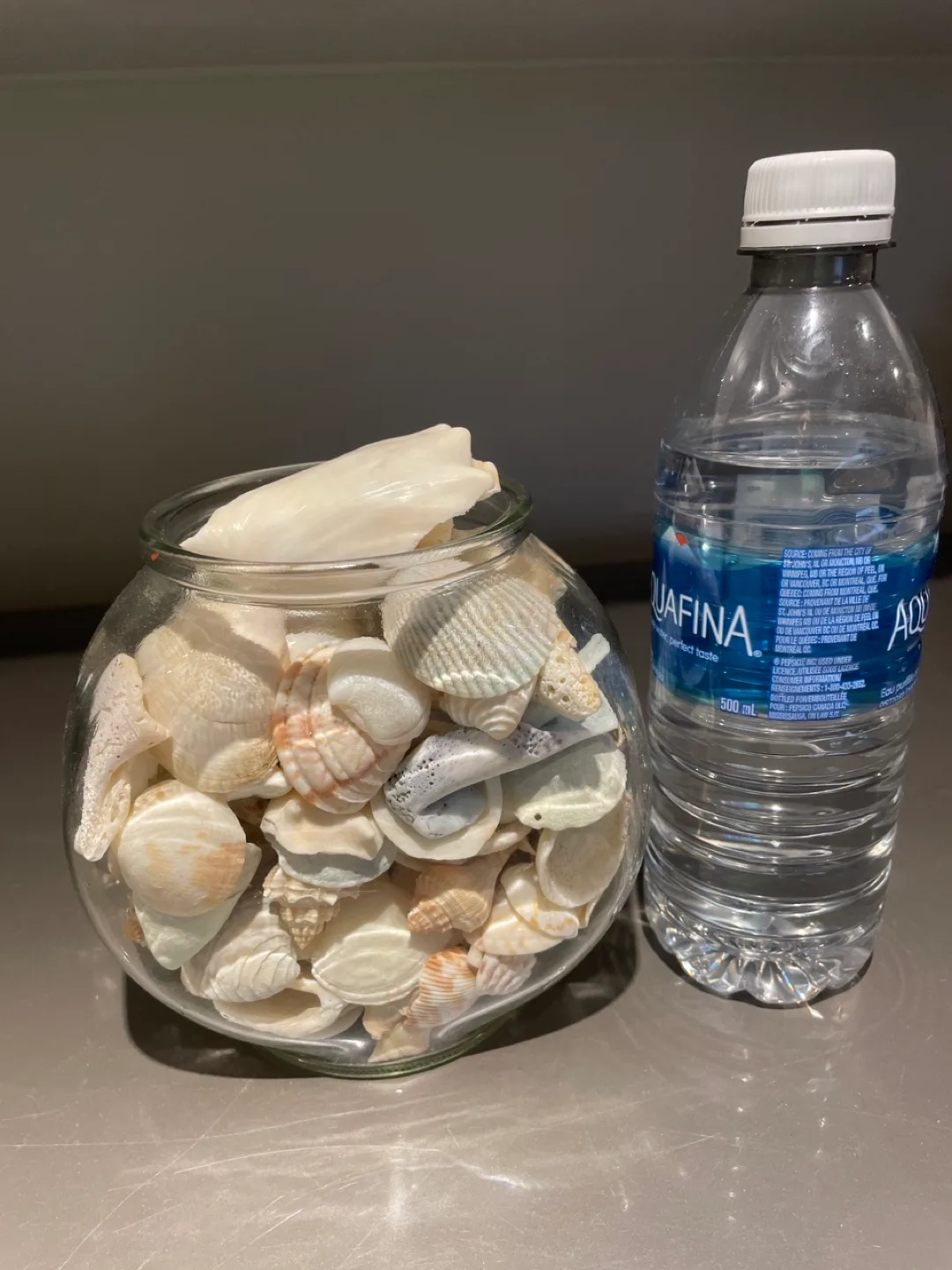 Seashells in Glass Jar image indicator(3)