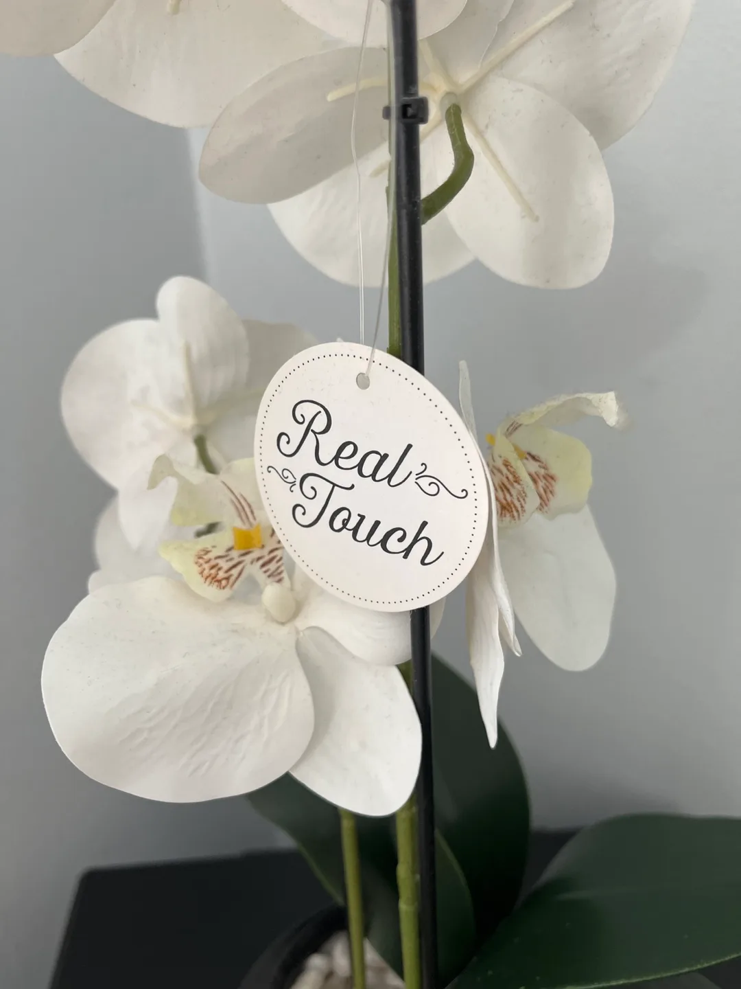 Artificial White Orchid Plant in Black Pot image indicator(2)