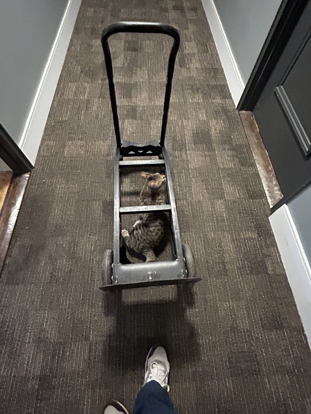 Heavy Duty Hand Truck - photo 2