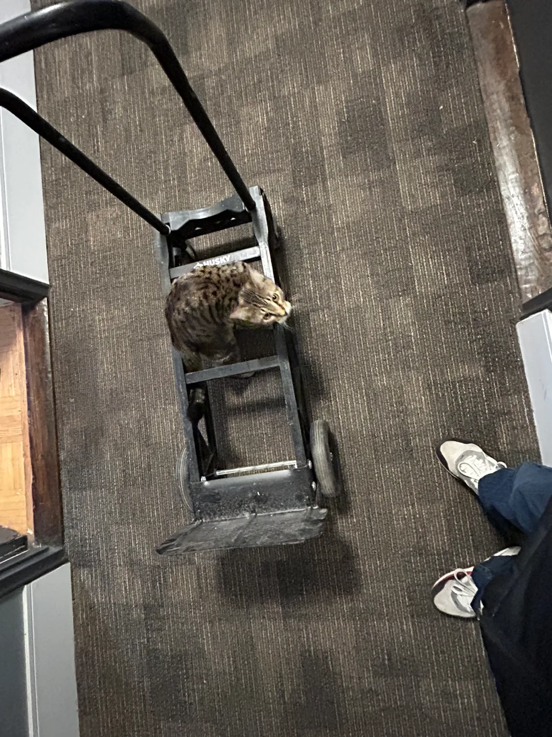 Heavy Duty Hand Truck thumbnail