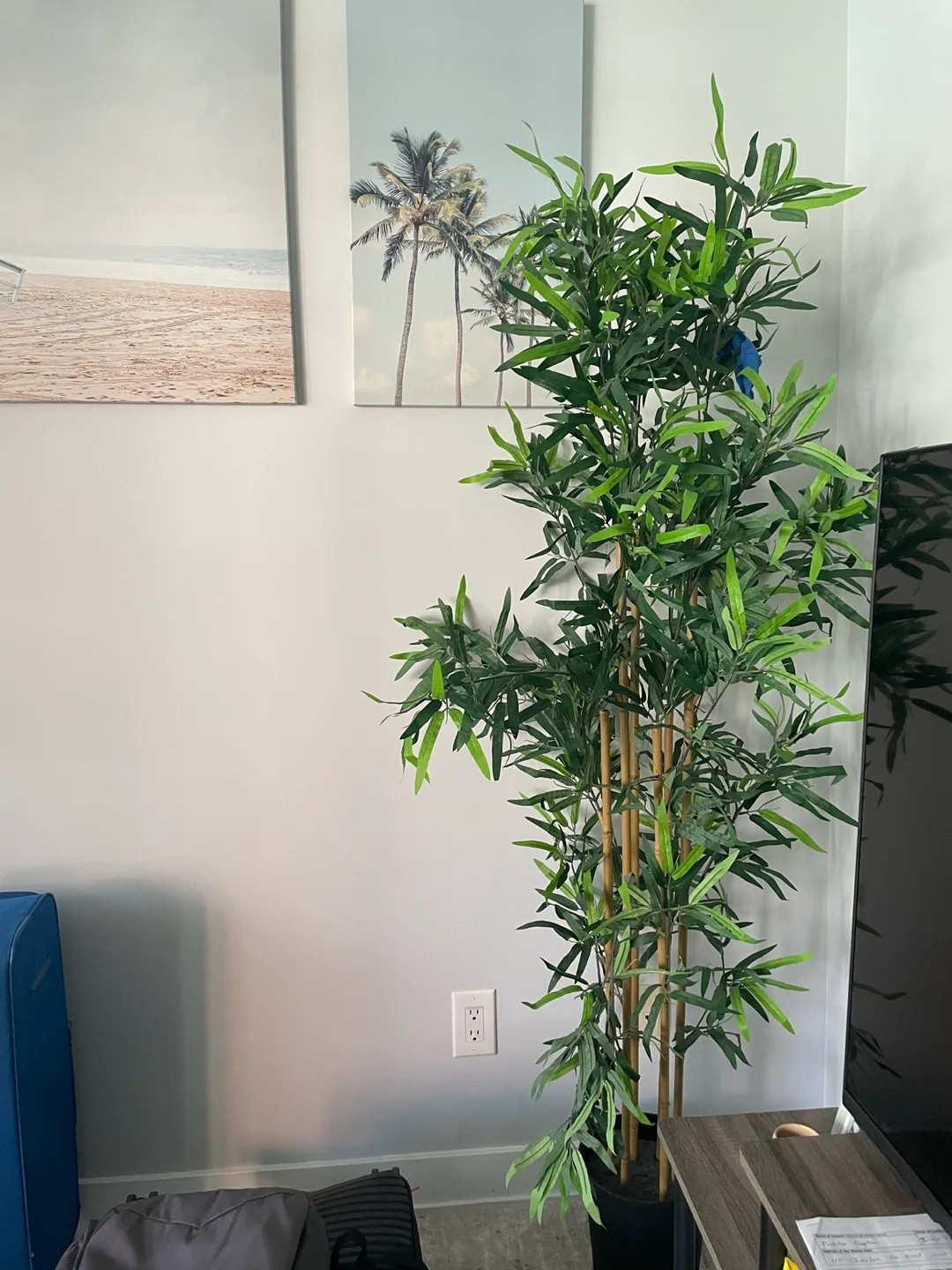 Artificial Bamboo Plant thumbnail