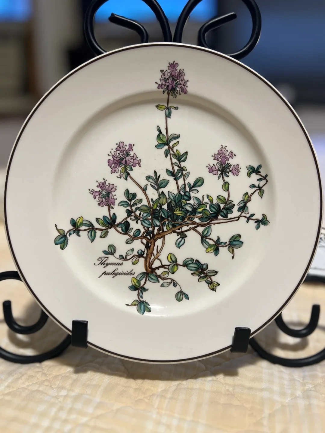 Villeroy & Boch Botanica Dinner place setting image indicator(5)