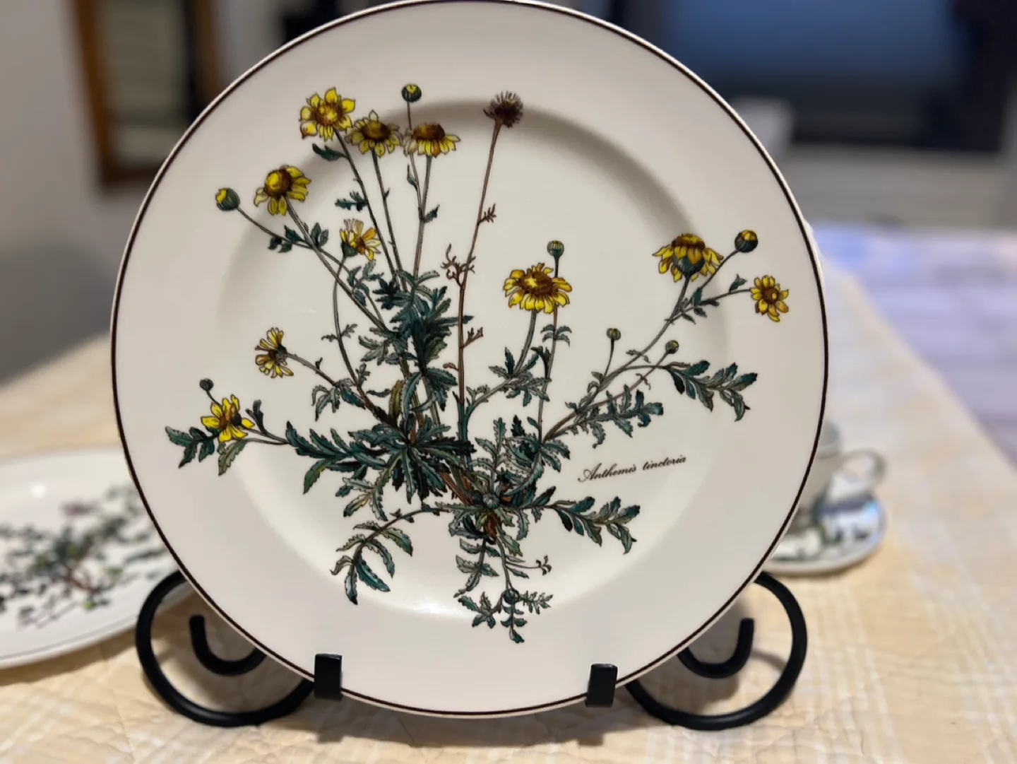 Villeroy & Boch Botanica Dinner place setting image indicator(3)