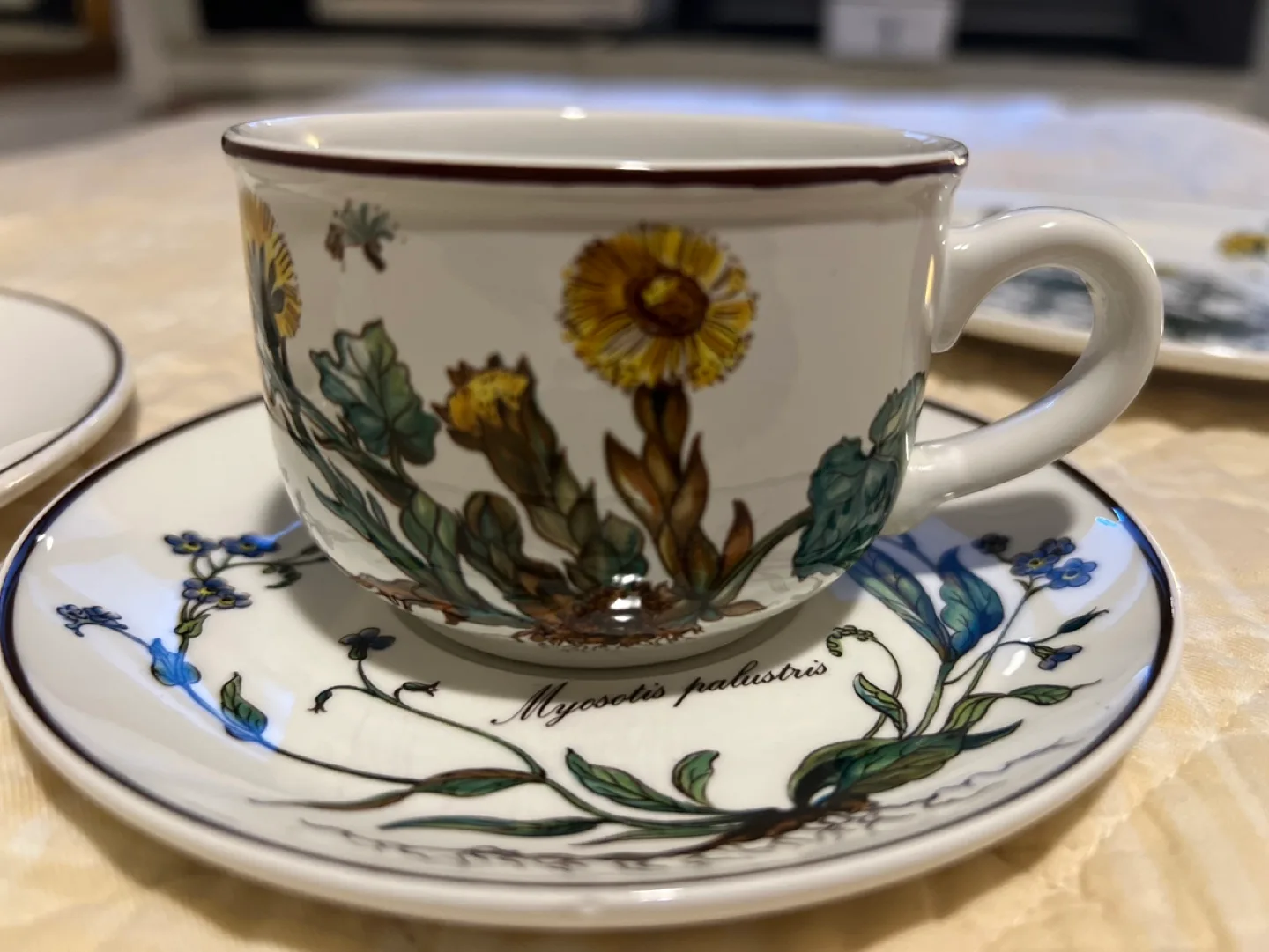 Villeroy & Boch Botanica Dinner place setting image indicator(9)