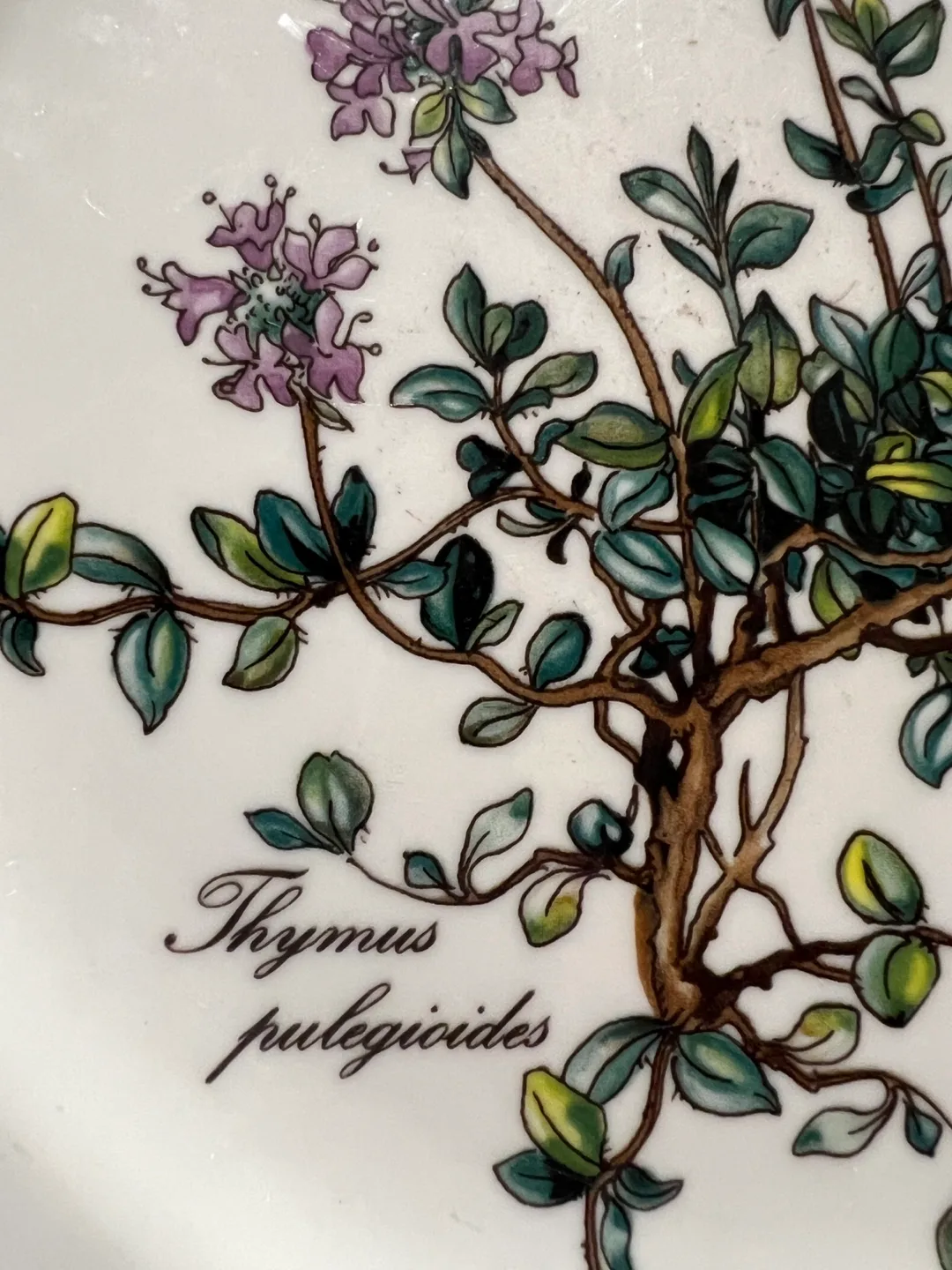 Villeroy & Boch Botanica Dinner place setting image indicator(6)