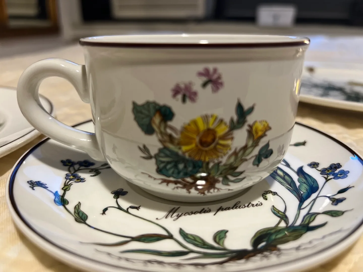 Villeroy & Boch Botanica Dinner place setting image indicator(10)