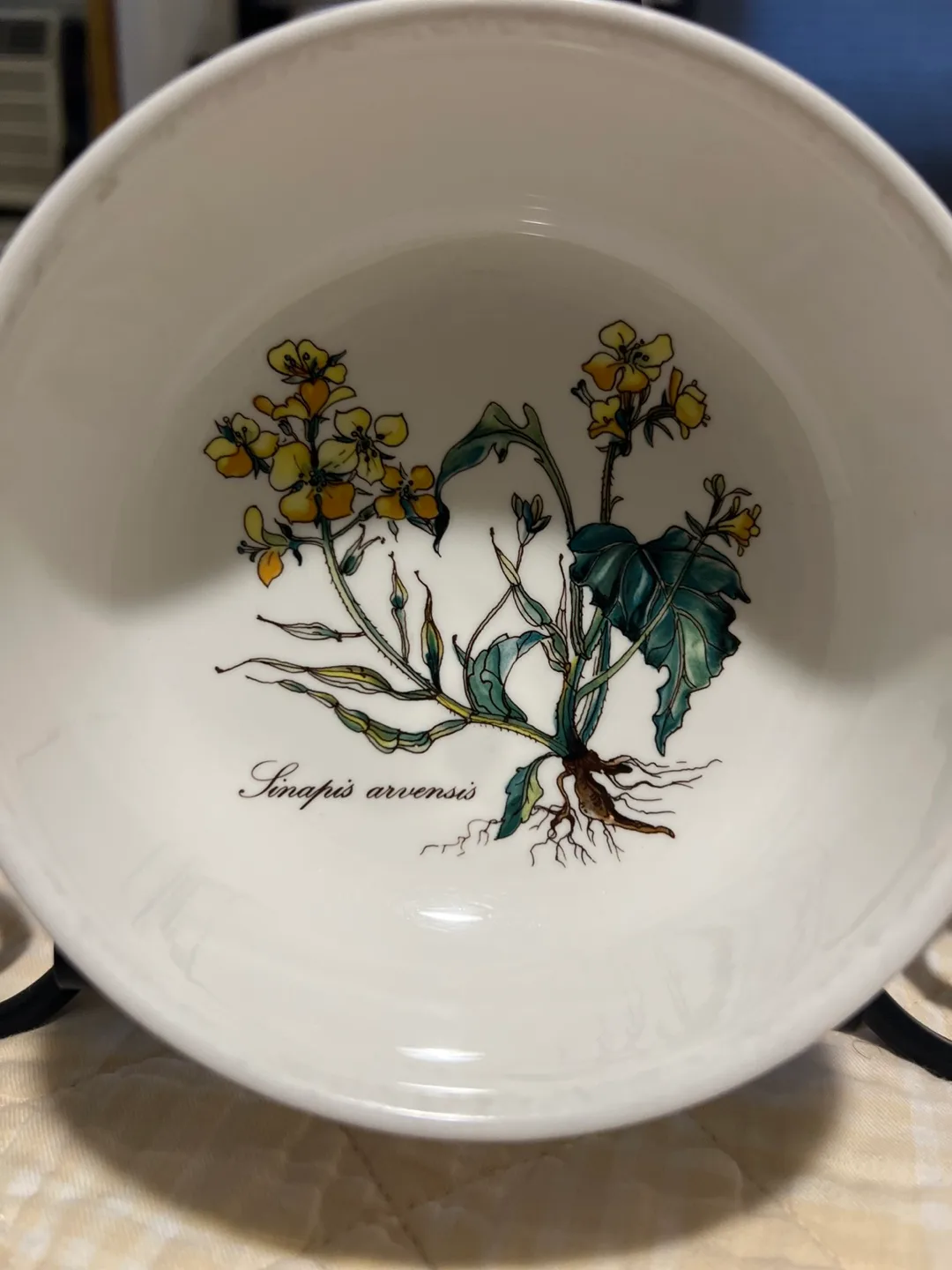 Villeroy & Boch Botanica Dinner place setting image indicator(8)