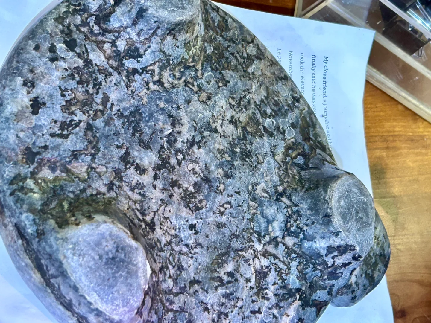 Vintage Stone tortilla turtle image indicator(2)