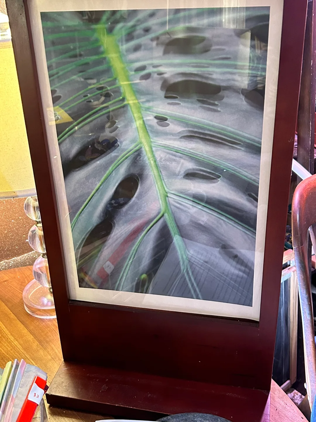 Framed Leaf Print image indicator(3)