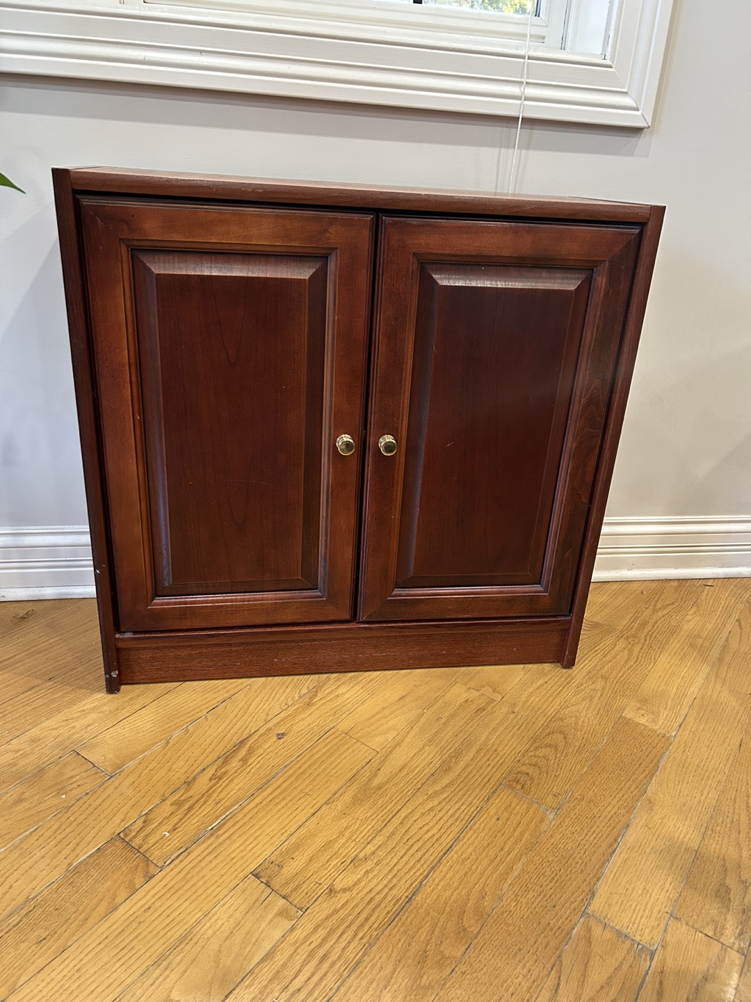 Solid Wood Cabinet