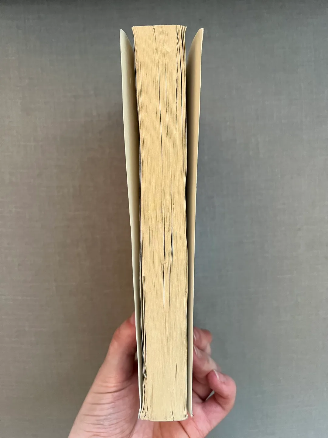 Catching Fire by Suzanne Collins image indicator(2)