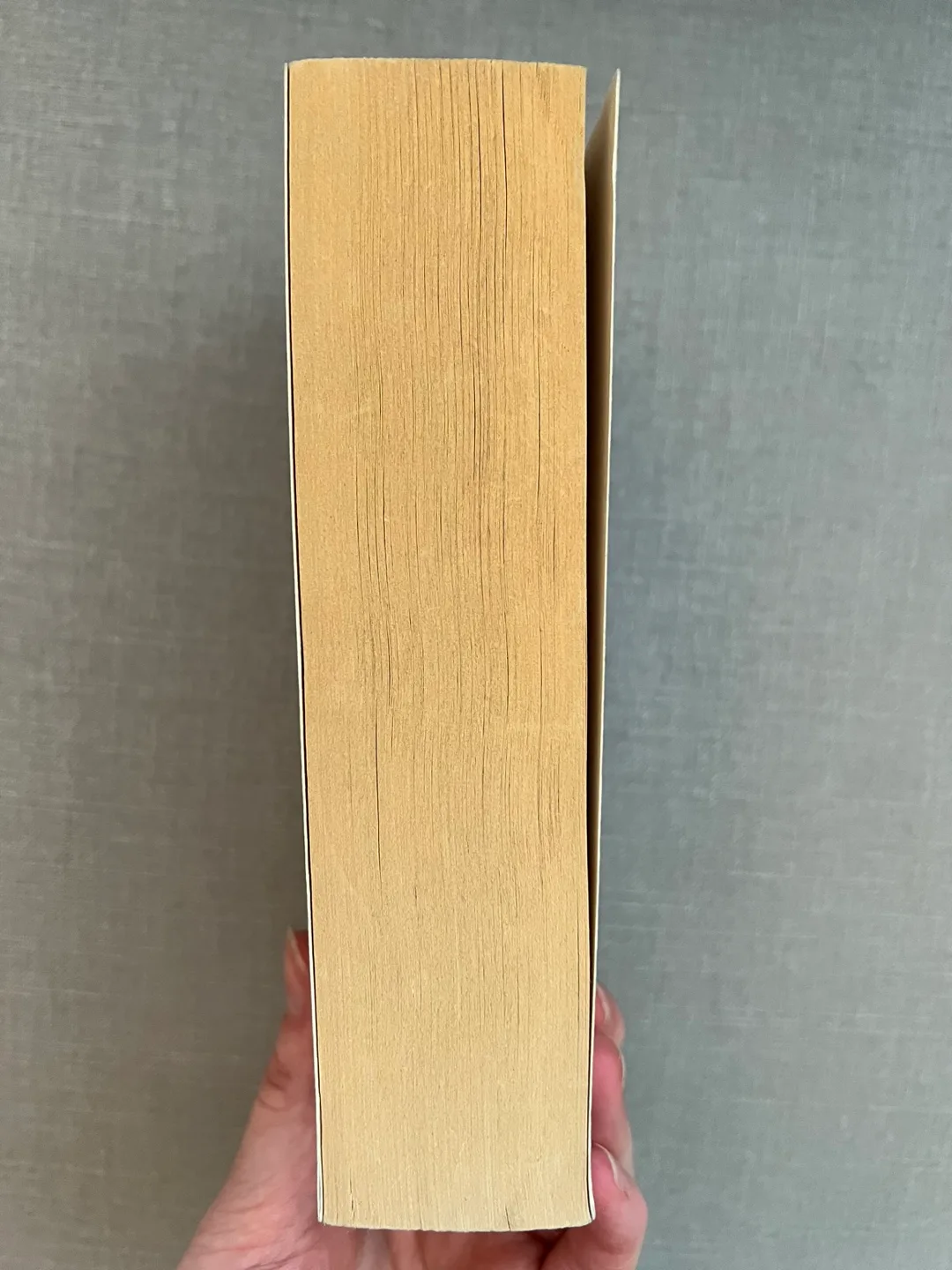 Sailing to Sarantium by Guy Gavriel Kay image indicator(2)