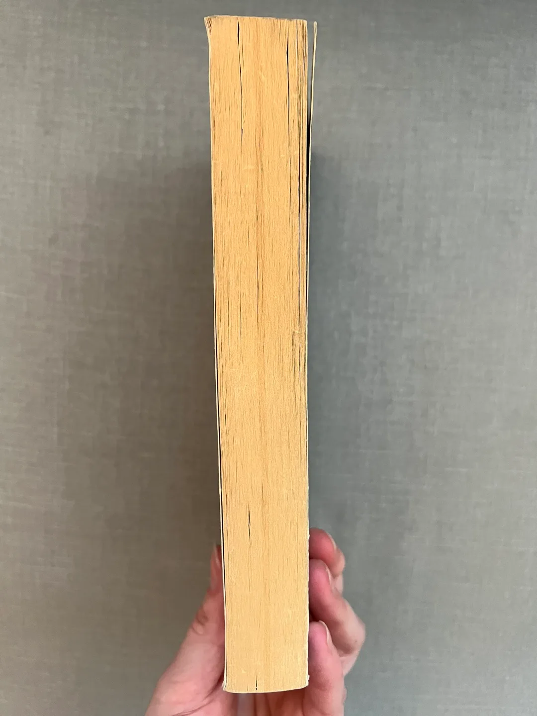 Crime and Punishment by Dostoyevsky - Paperback image indicator(2)